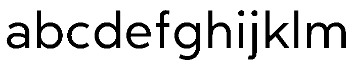 RhizomeVariable Regular Instance FONT