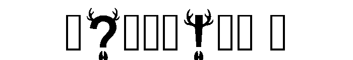 Riga Regular Font OTHER CHARS