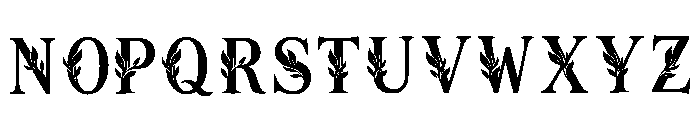 Rioni Regular Font LOWERCASE