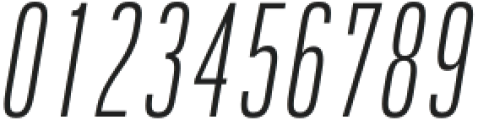 Rice Thin Condensed Oblique otf (100) Font OTHER CHARS