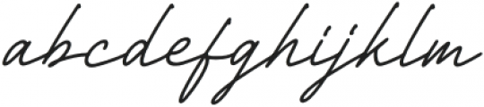 Richard Signatera Italic otf (400) Font LOWERCASE