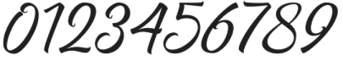 Richtive Script Regular otf (400) Font OTHER CHARS