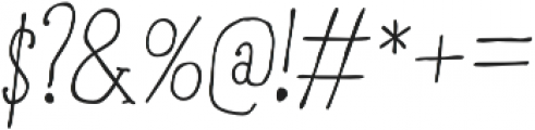 RidemyBike Serif Pro otf (400) Font OTHER CHARS