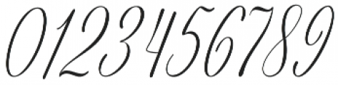 Ridiana Regular otf (400) Font OTHER CHARS
