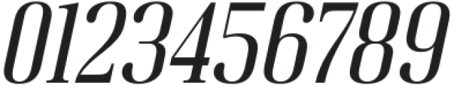 Rinella Italic otf (400) Font OTHER CHARS