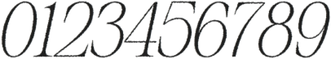 Risley Rough Italic otf (400) Font OTHER CHARS