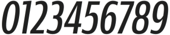 Rivera Regular Italic otf (400) Font OTHER CHARS