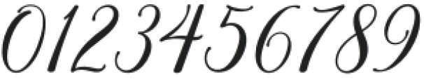 Rixiline Script Regular otf (400) Font OTHER CHARS