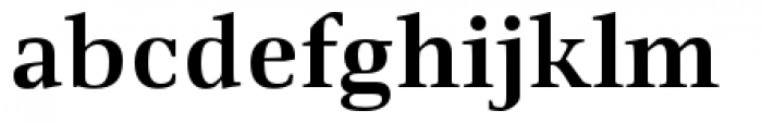Richler Cyrillic Bold Font LOWERCASE