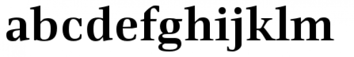 Richler Pro Cyrillic Bold Font LOWERCASE