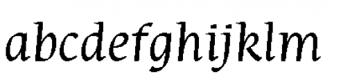 Rieven Roman Italic Font LOWERCASE