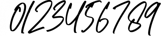 Richard Hamilton - Brush Signature Font 1 Font OTHER CHARS