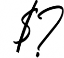 Richard Hamilton - Brush Signature Font 1 Font OTHER CHARS