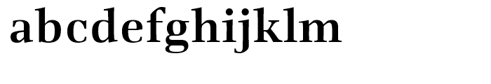 Richler Cyrillic Bold Font LOWERCASE