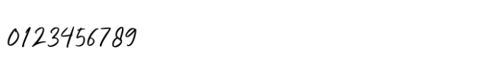 Riccardy Signature Font Font OTHER CHARS