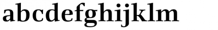 Richler Pro Cyrillic Bold Font LOWERCASE