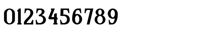 Richsail Semi Bold Font OTHER CHARS