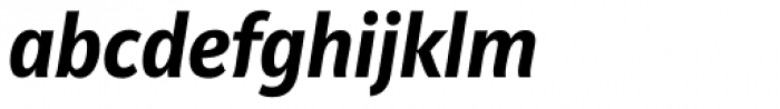 Riga Bold Italic Font LOWERCASE