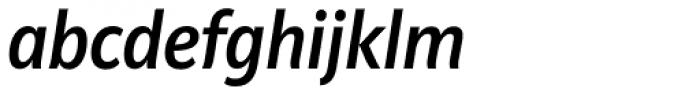 Riga Medium Italic Font LOWERCASE