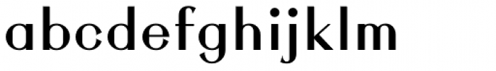 Rigidica Display Bold Font LOWERCASE