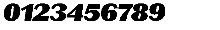 Rigor XL Headline Italic Font OTHER CHARS