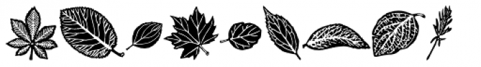 Riipale Leaf Font LOWERCASE
