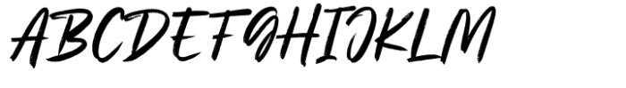Ringtail  Script Font UPPERCASE
