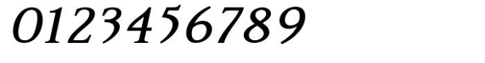 Risgard Bold Italic Font OTHER CHARS