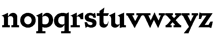 Riegraf Bold Font LOWERCASE