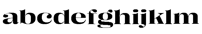 Right Didone Spatial Variable 5 FONT