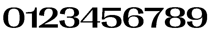 Right Gothic Spatial Variable 4 Font OTHER CHARS
