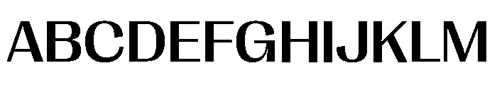 Right Gothic Variable 39 Font UPPERCASE