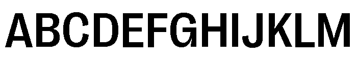 Right Grotesk Casual Variable 4 Font UPPERCASE