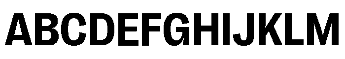 Right Grotesk Casual Variable 5 Font UPPERCASE
