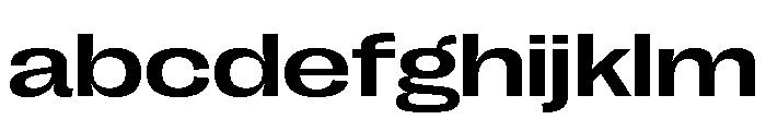 Right Grotesk Spatial Variable 4 FONT
