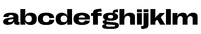 Right Grotesk Spatial Variable 5 FONT