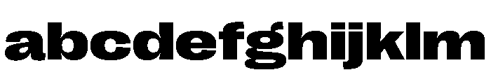 Right Grotesk Spatial Variable 6 FONT