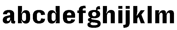 Right Grotesk Text Casual Variable 4 FONT
