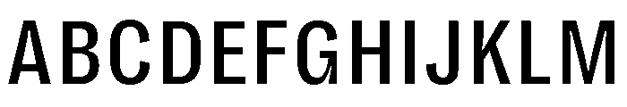 Right Grotesk Text Compact Variable 3 Font UPPERCASE