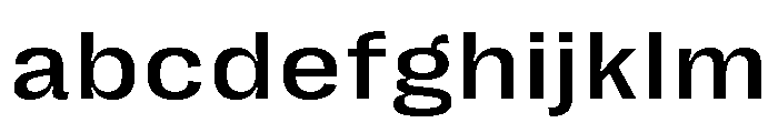 Right Grotesk Text Wide Medium FONT
