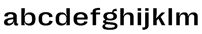 Right Grotesk Text Wide Variable 3 FONT