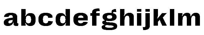 Right Grotesk Text Wide Variable 4 FONT