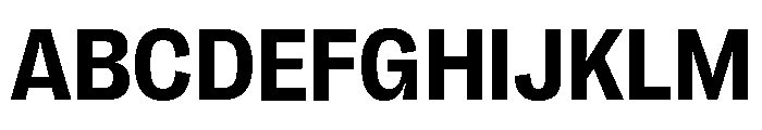 Right Grotesk Variable 33 Font UPPERCASE