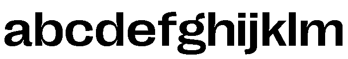 Right Grotesk Variable 39 FONT