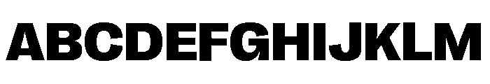 Right Grotesk Variable 41 Font UPPERCASE