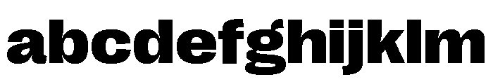 Right Grotesk Variable 41 FONT