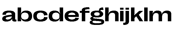 Right Grotesk Variable 46 FONT