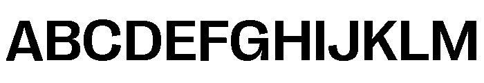 Right Grotesk Wide Variable 4 Font UPPERCASE