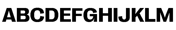 Right Grotesk Wide Variable 5 Font UPPERCASE