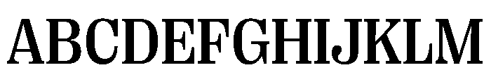 Right Serif Casual Variable 4 Font UPPERCASE